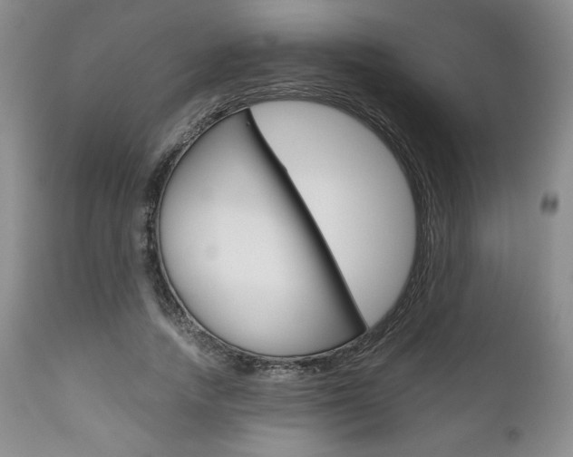 X0000111120738200906301041