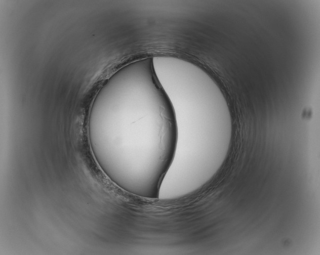 X0000111120739200906301041