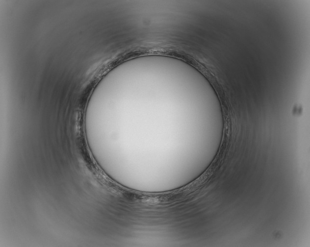 X0000111120740200906301041