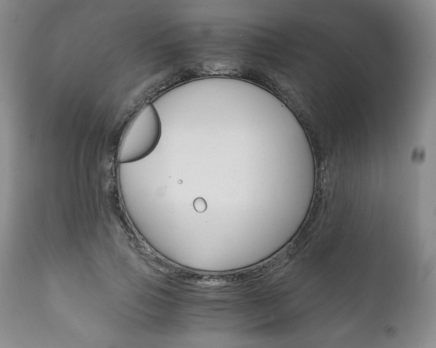 X0000111120741200906301041