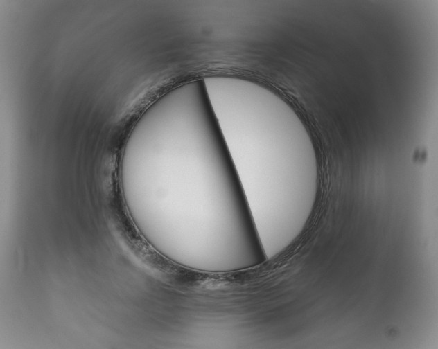 X0000111120742200906301041