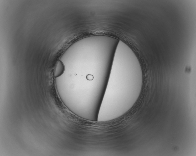 X0000111120743200906301041