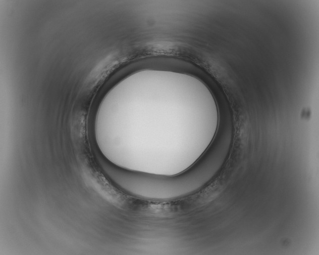 X0000111120744200906301041