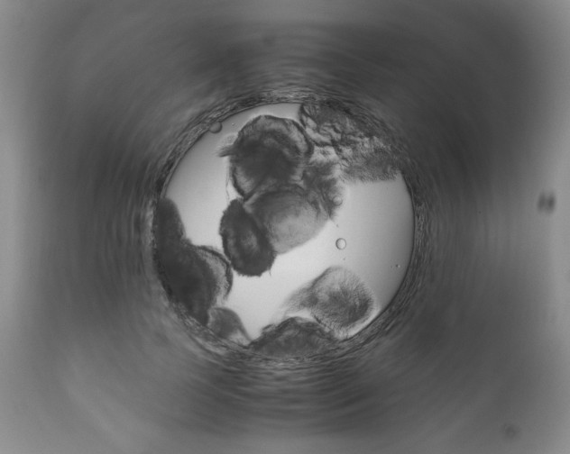 X0000111120745200906301041