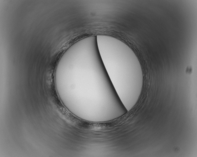 X0000111120746200906301041