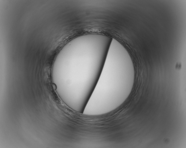 X0000111120747200906301041