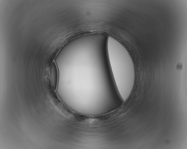 X0000111120748200906301041