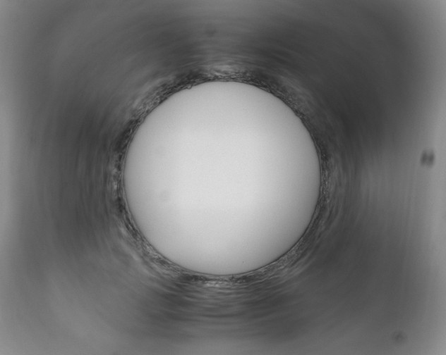 X0000111120749200906301041
