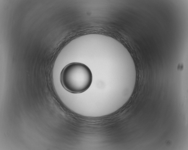 X0000111120750200906301041