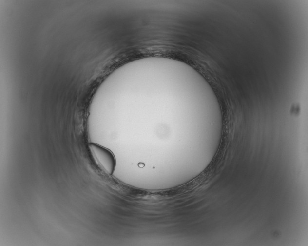 X0000111120751200906301041