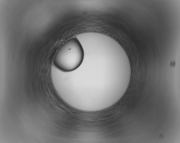 X0000111120752200906301041
