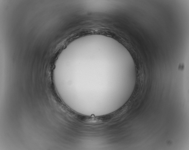 X0000111120754200906301041