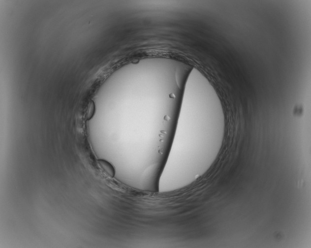 X0000111120755200906301041