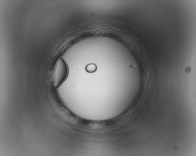 X0000111120756200906301041