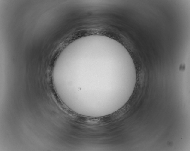 X0000111120757200906301041