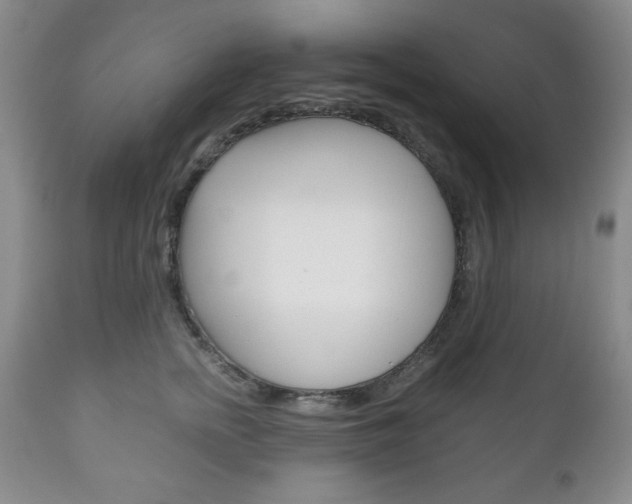 X0000111120758200906301041