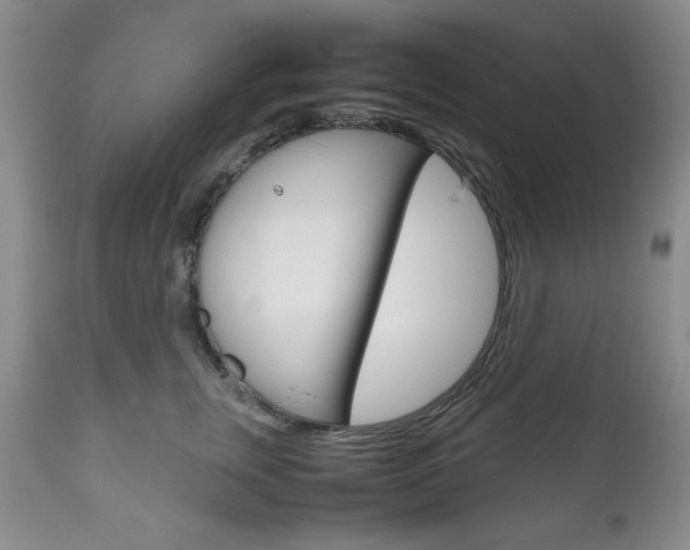 X0000111120759200906301041