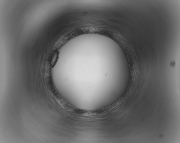 X0000111120760200906301041