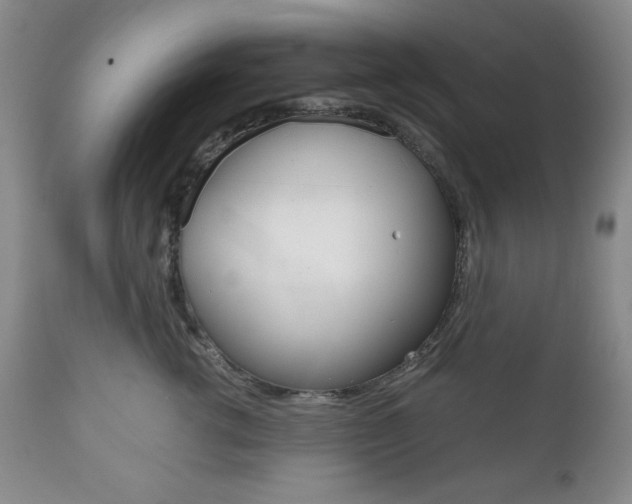 X0000111120762200906301041