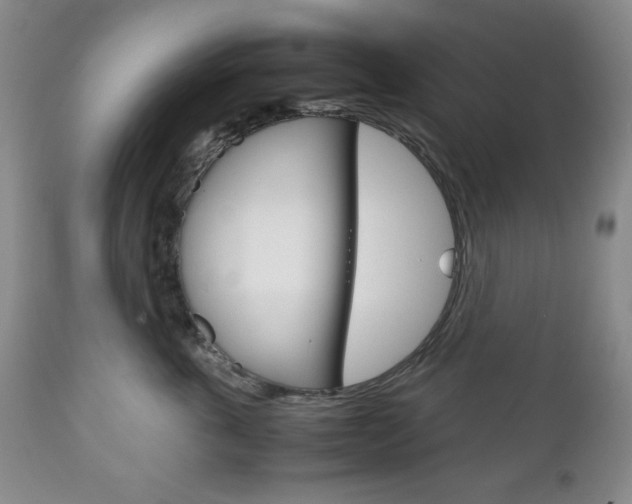 X0000111120763200906301041