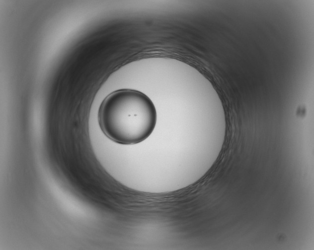 X0000111120764200906301041