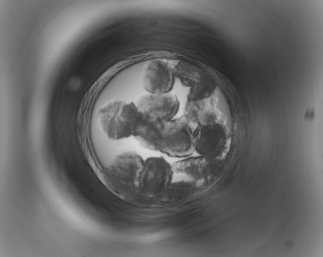 X0000111120765200906301041