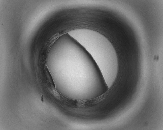 X0000111120766200906301041