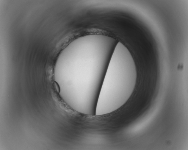 X0000111120767200906301041
