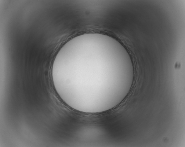 X0000111120768200906301042