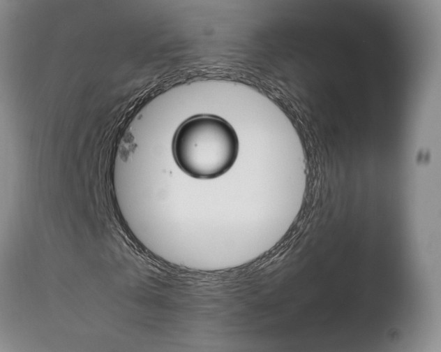 X0000111120769200906301041