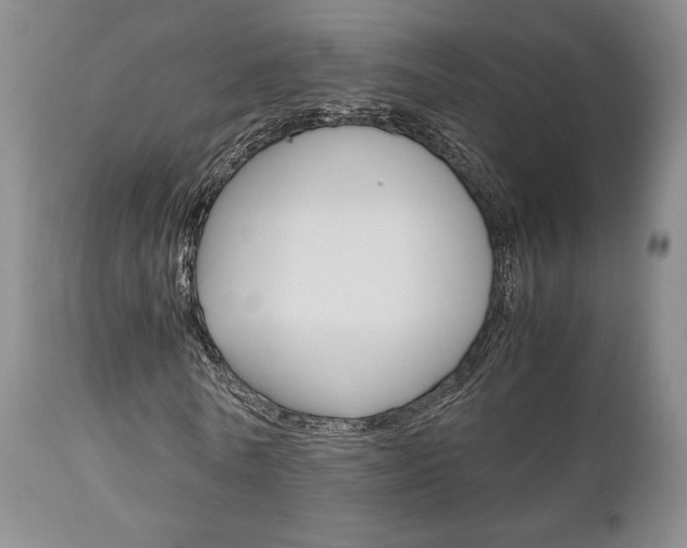X0000111120770200906301040