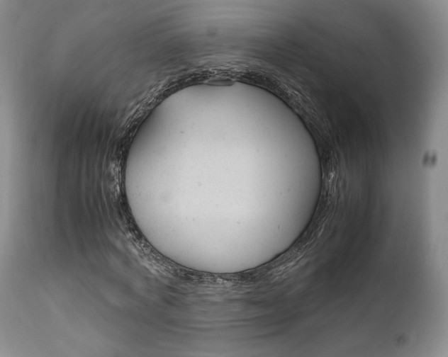 X0000111120772200906301040