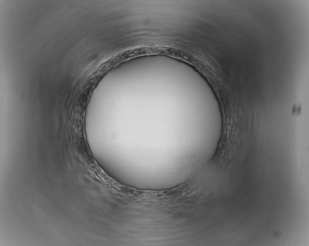 X0000111120773200906301040