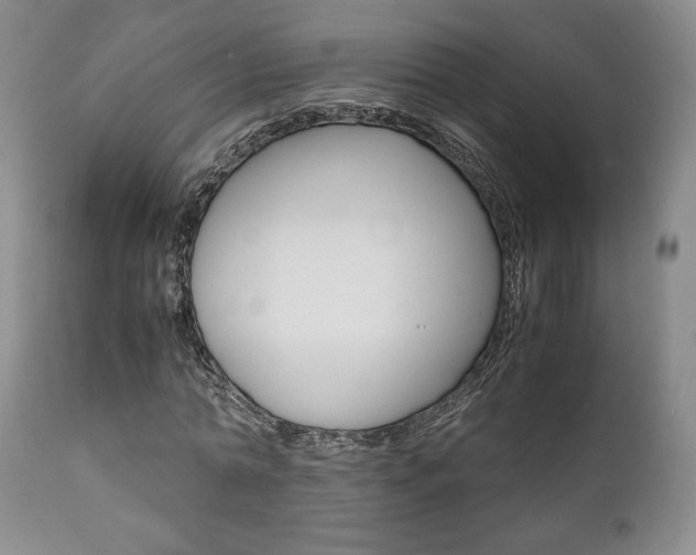 X0000111120774200906301040