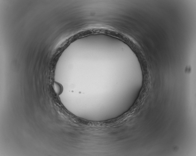 X0000111120775200906301040