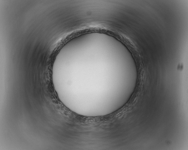 X0000111120776200906301040