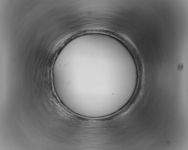 X0000111120777200906301040