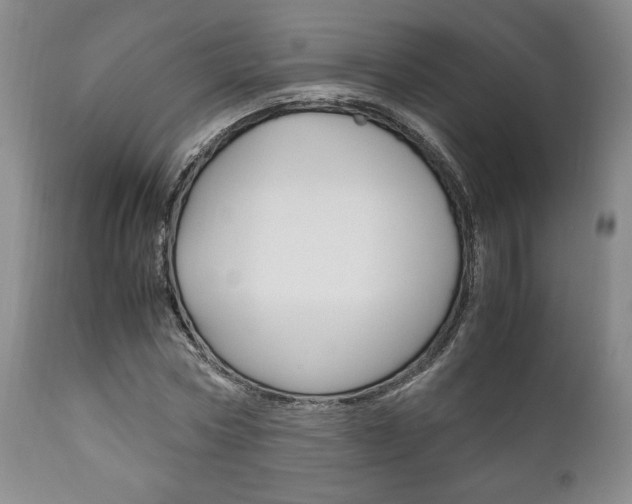X0000111120778200906301040