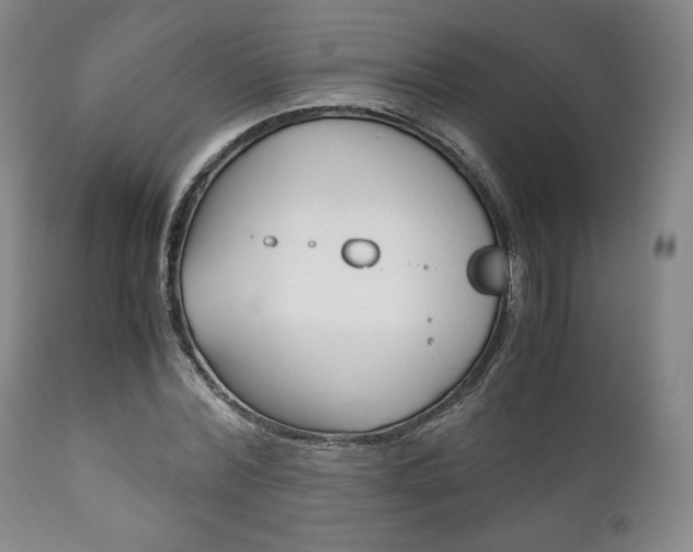 X0000111120780200906301040