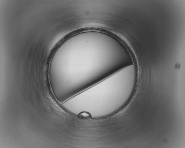 X0000111120783200906301040