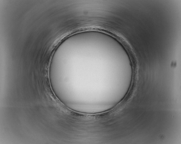 X0000111120785200906301040