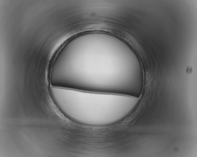 X0000111120788200906301040
