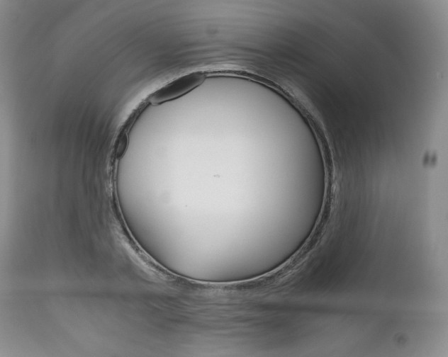 X0000111120789200906301040