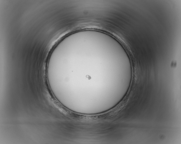 X0000111120790200906301040