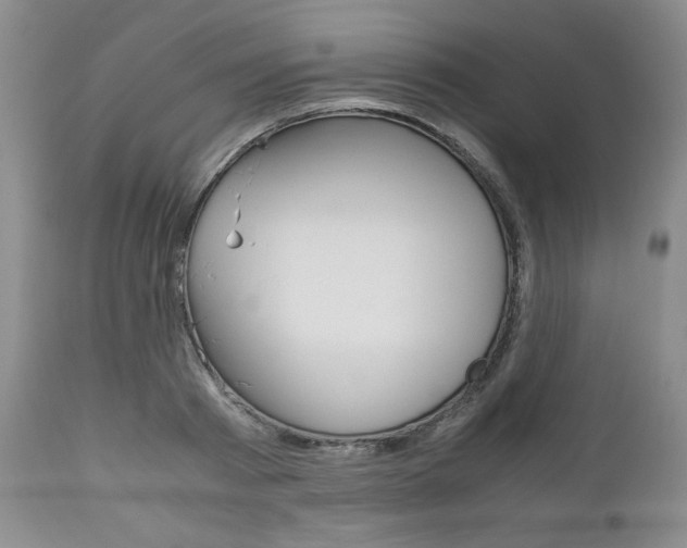 X0000111120793200906301040