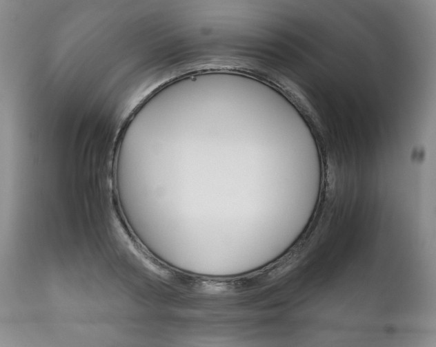 X0000111120794200906301040