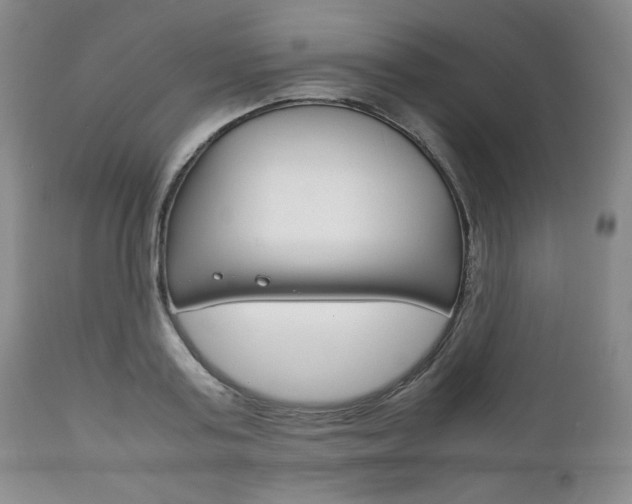 X0000111120795200906301040