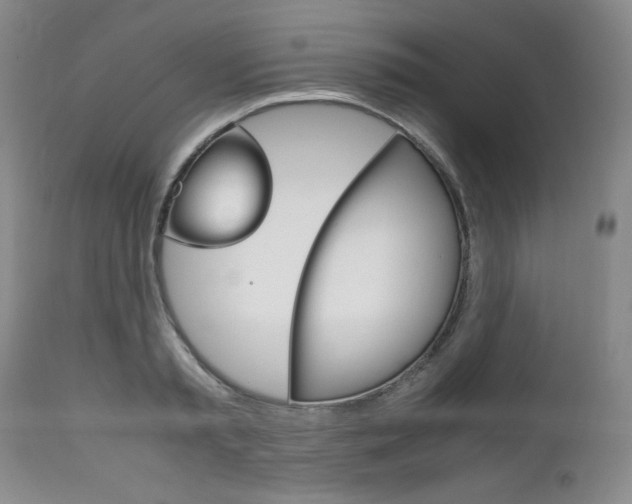 X0000111120797200906301040