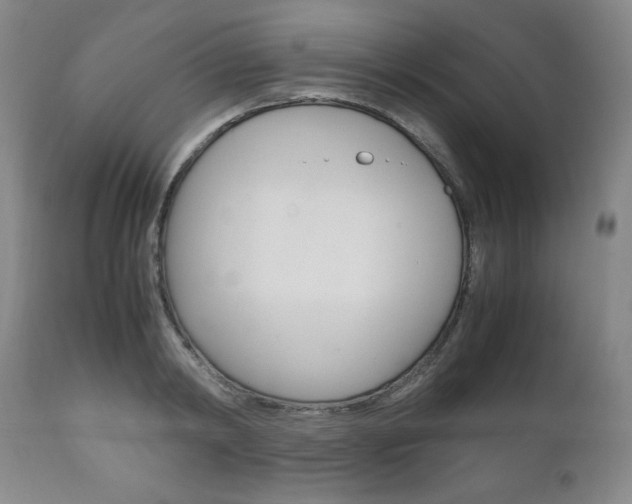 X0000111120798200906301040