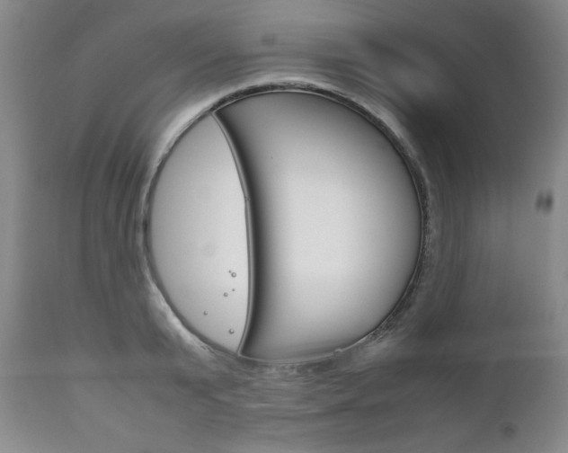X0000111120799200906301040
